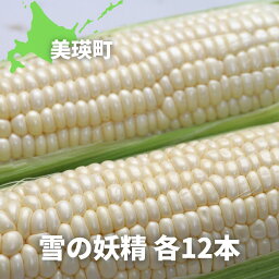 【ふるさと納税】令和6年産　とうもろこし（雪の妖精）12本　北海道　北海道美瑛　北海道美瑛町　美瑛町　美瑛　北海道産　美瑛産　スイートコーン　とうきび　黒木農場　[012-50]