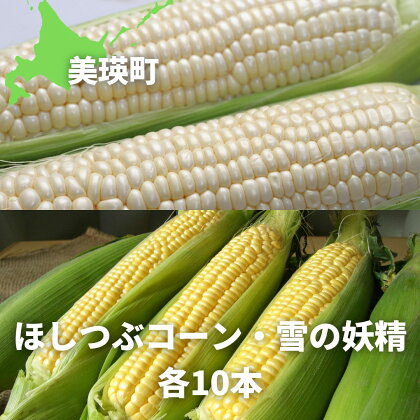 令和6年産　とうもろこし（ほしつぶコーン＆雪の妖精）各10本　北海道　北海道美瑛　北海道美瑛町　美瑛町　美瑛　北海道産　美瑛産　スイートコーン　とうきび　黒木農場[020-51]