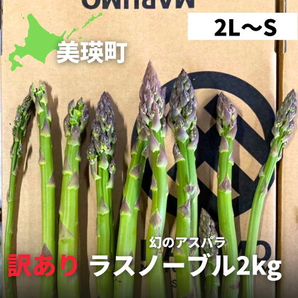 【訳あり】幻のアスパラ　本山農場のラスノーブル（グリーンアスパラ）2kg（2L～Sサイズ）[015-80]