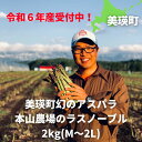 【ふるさと納税】令和6年産！美瑛町幻のアスパラ　本山農場のラスノーブル（グリーンアスパラ）2kg（M〜2Lサイズ）北海道美瑛　北海道　美瑛町　アスパラ　北海道産アスパラガス　美瑛産アスパラガス　北海道産　美瑛産　[019-11]