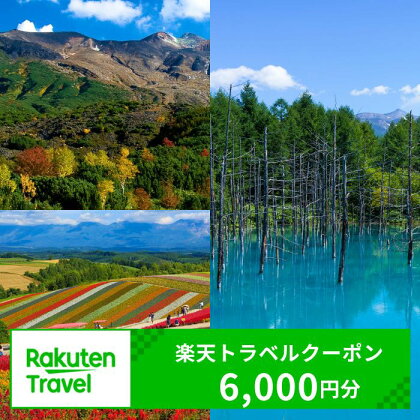 北海道美瑛町の対象施設で使える楽天トラベルクーポン　[020-46]※対象施設は寄附金額により異なるため、「宿泊施設はこちら」よりご確認ください。