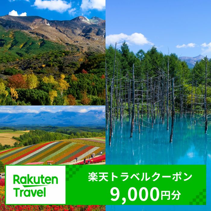 【ふるさと納税】北海道美瑛町の対象施設で使える楽天トラベルクーポン 寄付額30,000円[030-79]※対象施設は寄附金額により異なるため、「宿泊施設はこちら」よりご確認ください。