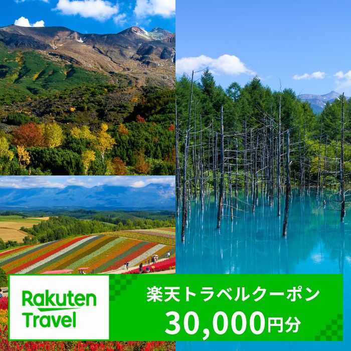 【ふるさと納税】北海道美瑛町の対象施設で使える楽天トラベルクーポン 寄付額100,000円[100-44]※対象施設は寄附金額により異なるため、「宿泊施設はこちら」よりご確認ください。