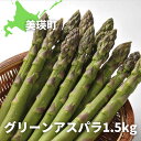 22位! 口コミ数「1件」評価「5」≪令和6年産！≫グリーンアスパラ1.5kg　北海道　北海道美瑛　北海道美瑛町　美瑛　美瑛町　グリーンアスパラ　グリーンアスパラガス　アスパラ･･･ 