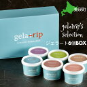 【ふるさと納税】びえい牧場の牛乳を使用!gelatrip's selection ジェラート アイス 6個BOX 送料無料 | アイスクリーム 北海道 北海道美...