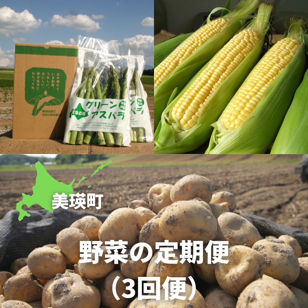 11位! 口コミ数「0件」評価「0」令和6年産　野菜の定期便（3回便）　北海道　北海道美瑛　北海道美瑛町　美瑛町　美瑛　定期便　アスパラガス　アスパラ　とうもろこし　とうきび　･･･ 