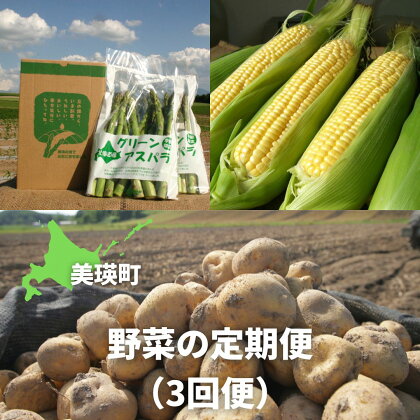 令和6年産　野菜の定期便（3回便）　北海道　北海道美瑛　北海道美瑛町　美瑛町　美瑛　定期便　アスパラガス　アスパラ　とうもろこし　とうきび　スイートコーン　じゃがいも　秋野菜　メークイン　男爵　キタアカリ　黒木農場　[040-12]