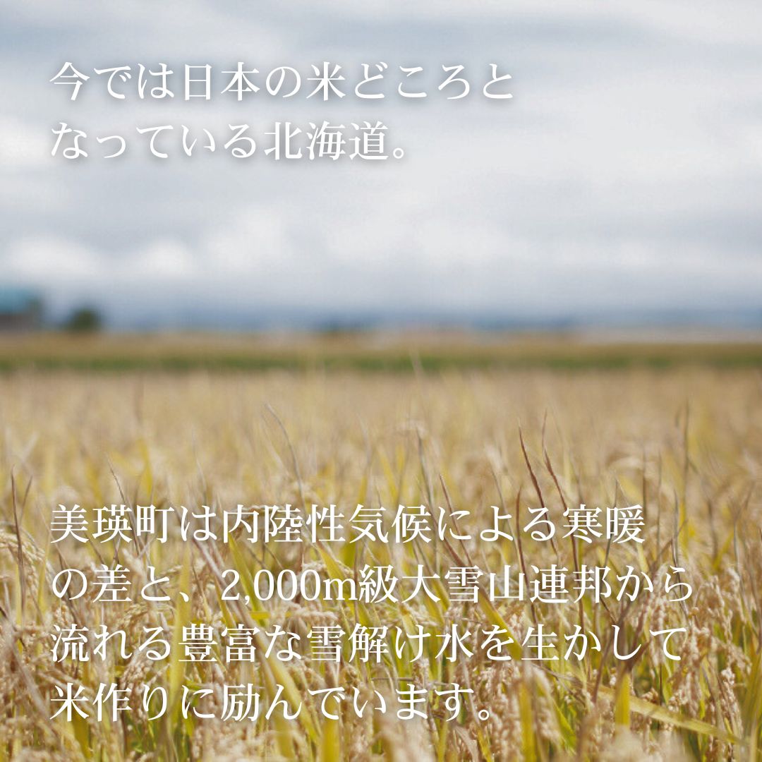 【ふるさと納税】【先行予約】≪令和8年産≫新米 ななつぼし10kg 新米 令和8年 米 お米 こめ コメ 10kg ブランド米 ごはん ななつぼし 精米 白米 北海道 美瑛 美瑛町 北海道美瑛町 美景農園[030-106] f014591-biei-10000325 北海道美瑛町 サンプル画像2
