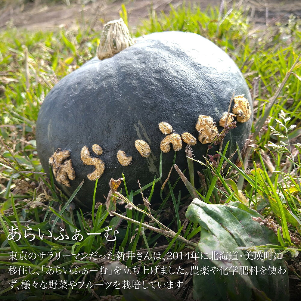 【ふるさと納税】季節の野菜セット【大・小】＆にんにくマヨネーズ あらいふぁーむ | 野菜 セット 詰め合わせ 旬野菜 美瑛産野菜 無農薬 多品種野菜 北海道 美瑛 美瑛町 北海道産 美瑛産 にんにく ニンニク マヨネーズ 調味料 ガーリック ドレッシング