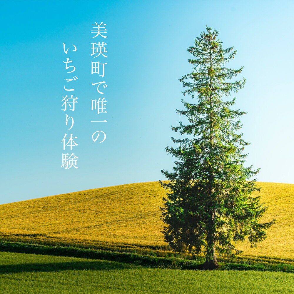 【ふるさと納税】いちご狩り体験チケット 60分食べ放題 大人1名分 丸北いちご農園｜いちご イチゴ 苺 イチゴ狩り 食べ放題 食べ比べ お出かけ レジャー 体験 美瑛町 美瑛 北海道 [011-63] f014591-biei-10000767 北海道美瑛町 サンプル画像2