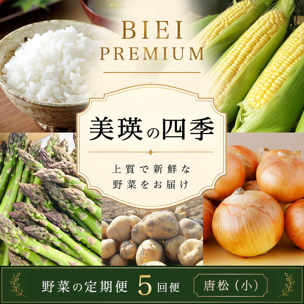 【先行予約】令和9年産【ふるさと納税】野菜 定期便 5回便 美瑛の四季～唐松～ 美瑛米 アスパラ とうもろこし じゃがいも 玉ねぎ | 米 ななつぼし お米 コメ アスパラ とうもろこし 食べ比べ セット 玉ねぎ 人気 おすすめ 芋 イモ じゃがいも ジャガイモ 野菜