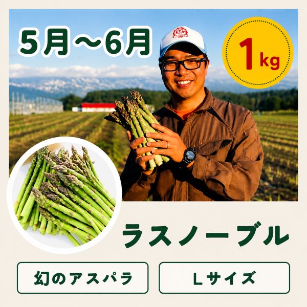 北海道美瑛町の【先行予約】令和9年産【ふるさと納税】野菜 定期便 4回便 美瑛の四季～白樺～ アスパラ とうもろこし じゃがいも 玉ねぎ | アスパラガス トウモロコシ コーン タマネギ 食べ比べ セット 玉ねぎ 人気 おすすめ 芋 イモ じゃがいも ジャガイモ 野菜 セット｜アングル3