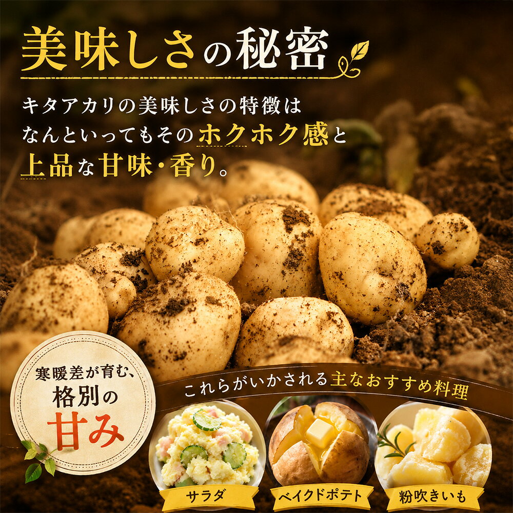 【ふるさと納税】【先行予約】じゃがいも（北あかり）5kg 10kg ≪令和8年産≫黒木農場 | 人気 おすすめ ランキング いも 芋 イモ じゃがいも ジャガイモ 北あかり きたあかり キタアカリ 北海道 野菜　[006-29]