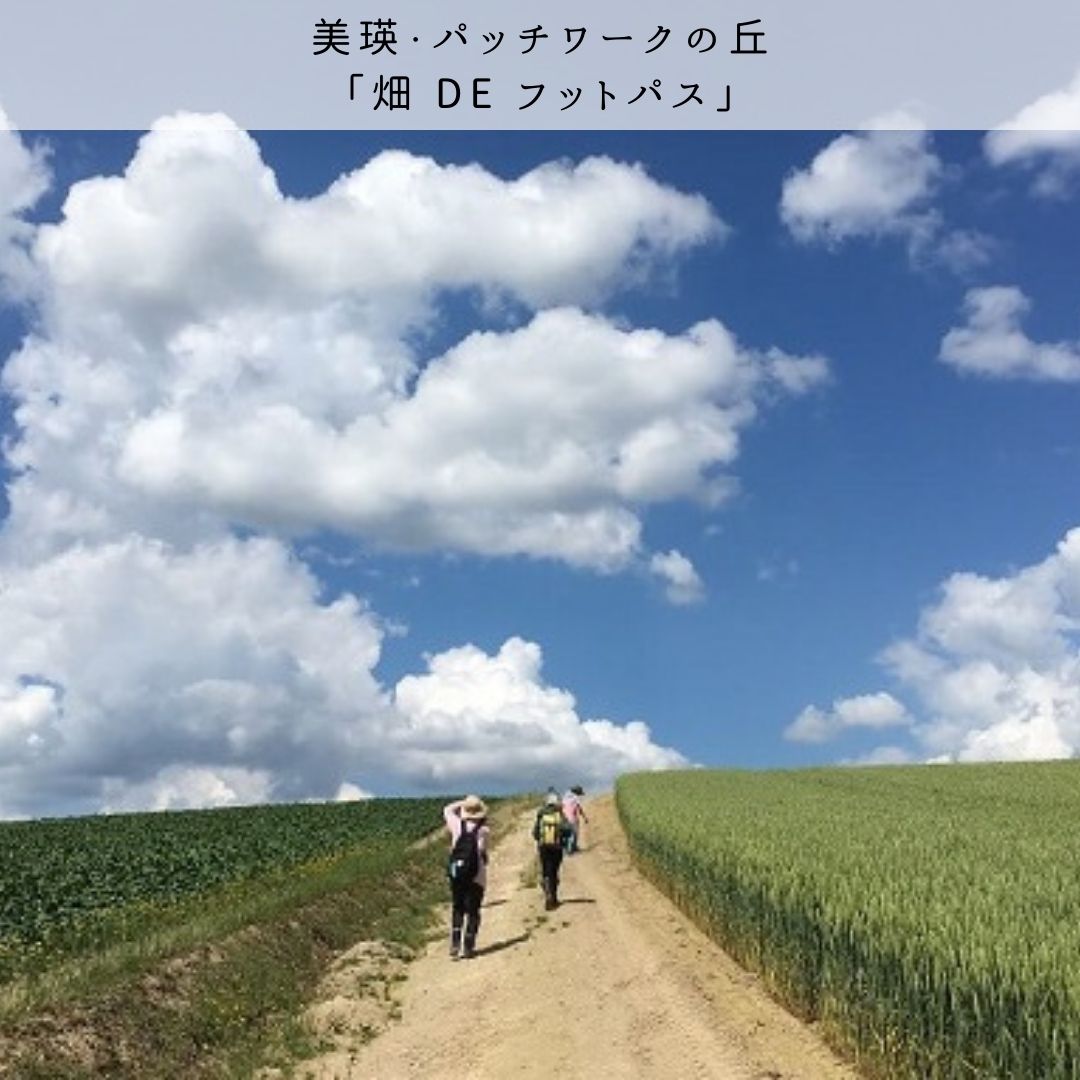 【ふるさと納税】夏季アクティビティ体験クーポン3,000円　北海道　北海道美瑛　北海道美瑛町　美瑛町　美瑛　アクティビティ　収穫体験　フットパス　体験プラン　体験プログラム　丘のまちびえいDMO　[010-147] 2