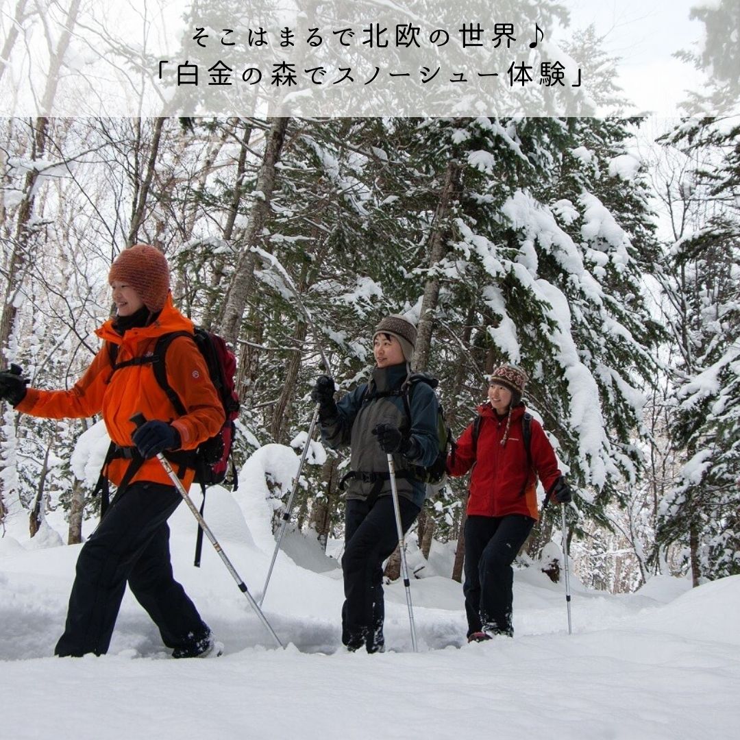 【ふるさと納税】冬季 アクティビティ 体験クーポン3,000円 スノーシュー 体験プログラム 北海道 北海道美瑛 北海道美瑛町 美瑛 美瑛町 体験プラン 丘のまちびえいDMO[010-148] 3