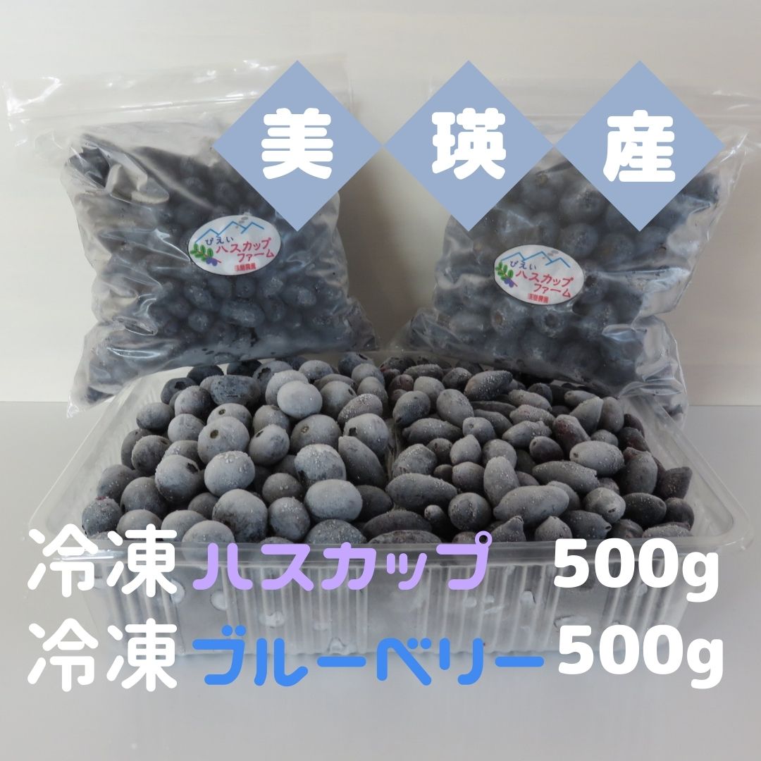 美瑛産冷凍ハスカップ500g・冷凍ブルーベリー500g 北海道 北海道美瑛 北海道美瑛町 美瑛町 ハスカップ ブルーベリー びえいハスカップファーム [015-78]