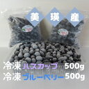 30位! 口コミ数「1件」評価「5」美瑛産冷凍ハスカップ500g・冷凍ブルーベリー500g　北海道　北海道美瑛　北海道美瑛町　美瑛町　ハスカップ　ブルーベリー　びえいハスカップ･･･ 