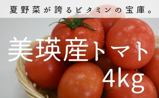 1位! 口コミ数「1件」評価「2」美瑛産トマト4kg　北海道　北海道美瑛　北海道美瑛町　美瑛町　美瑛　トマト　北海道産トマト　美瑛産トマト　美瑛選果　[011-41]