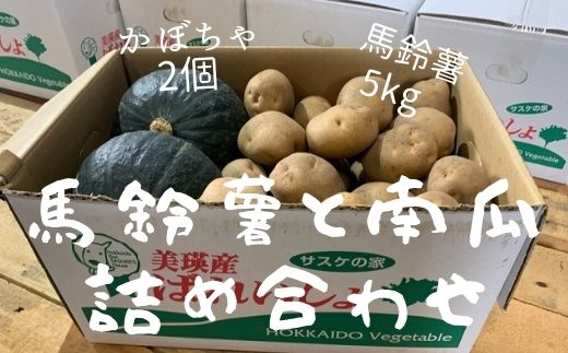 【ふるさと納税】R6年産！馬鈴薯と南瓜の詰め合わせ　北海道　北海道美瑛　北海道美瑛町　美瑛町　秋野菜　馬鈴薯　南瓜　かぼちゃ　野菜の詰め合わせ　北海道産　美瑛産　サスケの家　[012-126]