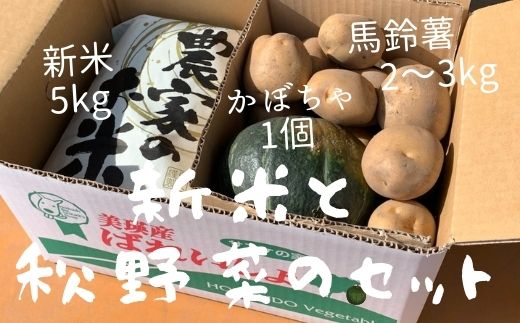 【ふるさと納税】令和9年産【先行予約】 お米と秋野菜セット 野菜セット サスケの家｜ 北海道 米 こめ コメ お米 新米 精米 野菜 やさい 詰め合わせ セット じゃがいも ジャガイモ いも かぼちゃ 南瓜 カボチャ 新鮮 旬 新鮮野菜 旬野菜 美瑛米 北海道米 農家直送 f014591-biei-10000229 北海道美瑛町 パッケージ画像