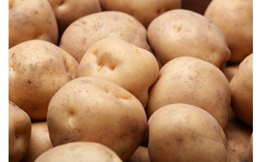 【ふるさと納税】令和9年産【先行予約】 お米と秋野菜セット 野菜セット サスケの家｜ 北海道 米 こめ コメ お米 新米 精米 野菜 やさい 詰め合わせ セット じゃがいも ジャガイモ いも かぼちゃ 南瓜 カボチャ 新鮮 旬 新鮮野菜 旬野菜 美瑛米 北海道米 農家直送 f014591-biei-10000229 北海道美瑛町 サンプル画像2