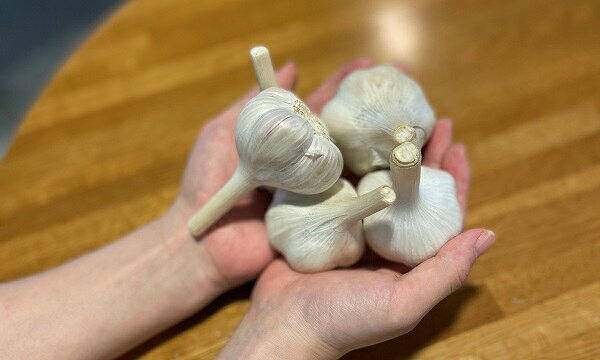 【ふるさと納税】ダイヤモンドにんにく1kg　北海道　北海道美瑛　北海道美瑛町　美瑛町　にんにく ニンニク オニオン [014-14]