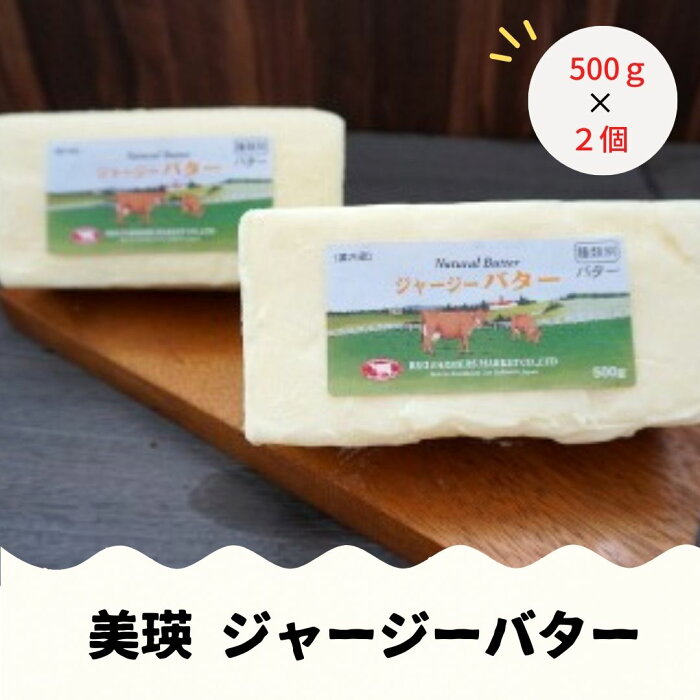 【ふるさと納税】ファームズ千代田　ジャージーバター500g×2個[018-08]