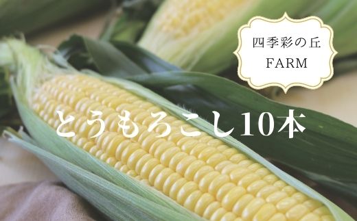 【ふるさと納税】四季彩の丘FARM とうもろこし（10本）[018-35]