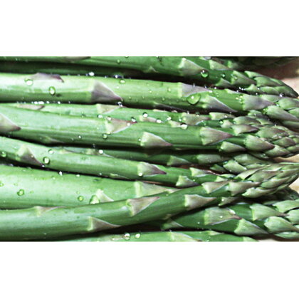 地元富良野産グリーンアスパラ1kg(L・M混合) 【野菜・アスパラガス】 お届け:2020年5月下旬〜6月中旬まで