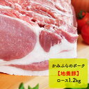 【ふるさと納税】かみふらのポーク【地養豚】ロース1.2kg