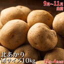 【ふるさと納税】新じゃがいも【北あかり】約10kg≪北海道上
