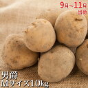 【ふるさと納税】新じゃがいも【男爵】約10kg≪北海道上富良