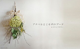 ふるさと納税 アナベルとミモザのブーケ 富良野 花 観葉植物 花七曜 北海道上富良野町 鉢花 植物 ブーケ ドライフラワー インテリア 北海道上富良野町 花七曜 ふるさと納税 アナベルとミモザのブーケ 富良野 花 観葉植物 花七曜 北海道上富良野町 鉢花 植物 ブーケ ドライフラワー インテリア 北海道上富良野町 花七曜