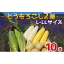 【ふるさと納税】かんのファーム産 とうもろこし食べ比べ10本