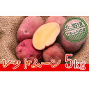 【ふるさと納税】じゃがいも【レッドムーン】約5kg(M-L混