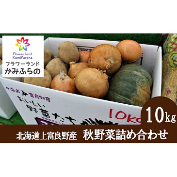 【ふるさと納税】かみふらの産秋野菜（じゃがいも・玉葱・かぼちゃ）詰合せ約10kg　【野菜・玉ねぎ・たまねぎ・じゃがいも・玉葱・かぼちゃ・野菜詰合せ】　お届け：2022年10月中旬〜11月中旬