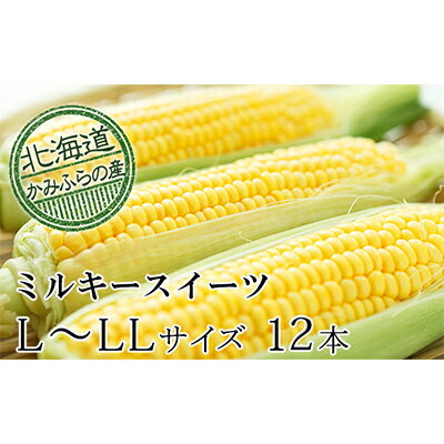 【ふるさと納税】朝採りとうもろこし【ミルキースイーツ】L〜LL 10本セット≪北海道上富良野町産≫　【野菜・とうもろこし・朝採りとうもろこし・ミルキースイーツ・トウモロコシ】　お届け：2023年7月下旬〜9月中旬まで