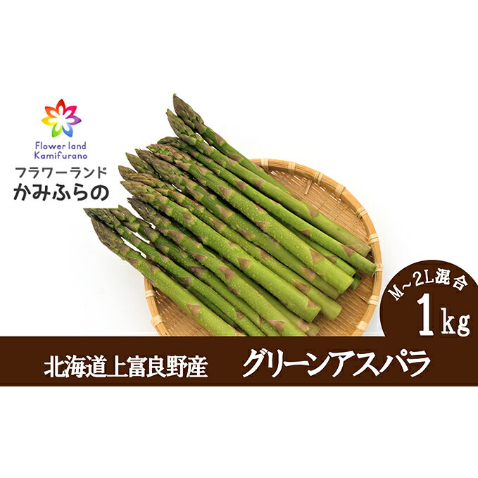 【ふるさと納税】かみふらの産グリーンアスパラ1kg（M-2L）　【アスパラガス・野菜・グリーンアスパラ・アスパラ・1kg】　お届け：2024年5月中旬～6月中旬