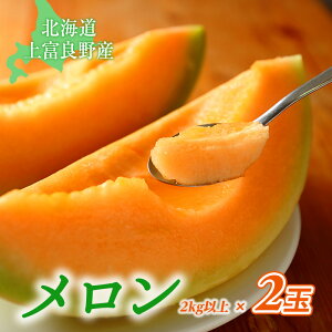 【ふるさと納税】【北海道上富良野町産】「ふらのメロン」(大玉・秀品) 2玉 果物類 フルーツ メロン赤肉 お届け:2025年7月下旬~8月下旬