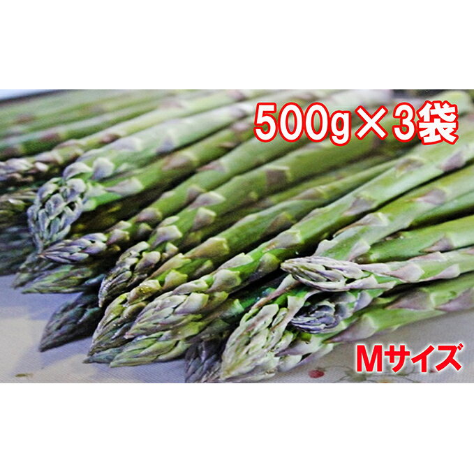 北海道上富良野産[訳あり]グリーンアスパラ約1.5kg(Mサイズ) [アスパラガス・野菜・グリーンアスパラ・訳あり・アスパラ・約1.5kg] お届け:2024年6月上旬〜6月中旬