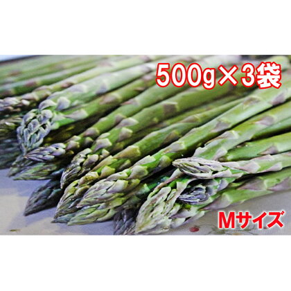 北海道上富良野産【訳あり】グリーンアスパラ約1.5kg（Mサイズ）　【アスパラガス・野菜・グリーンアスパラ・訳あり・アスパラ・約1.5kg】　お届け：2024年6月上旬～6月中旬