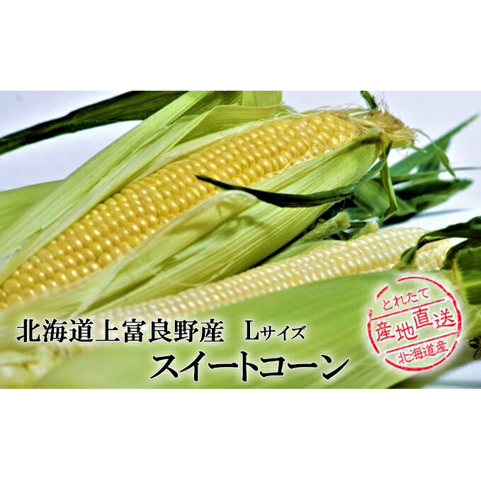 【ふるさと納税】かみふらの産スイートコーンL黄色・白色各3本セット（計6本）　【野菜・とうもろこし・...