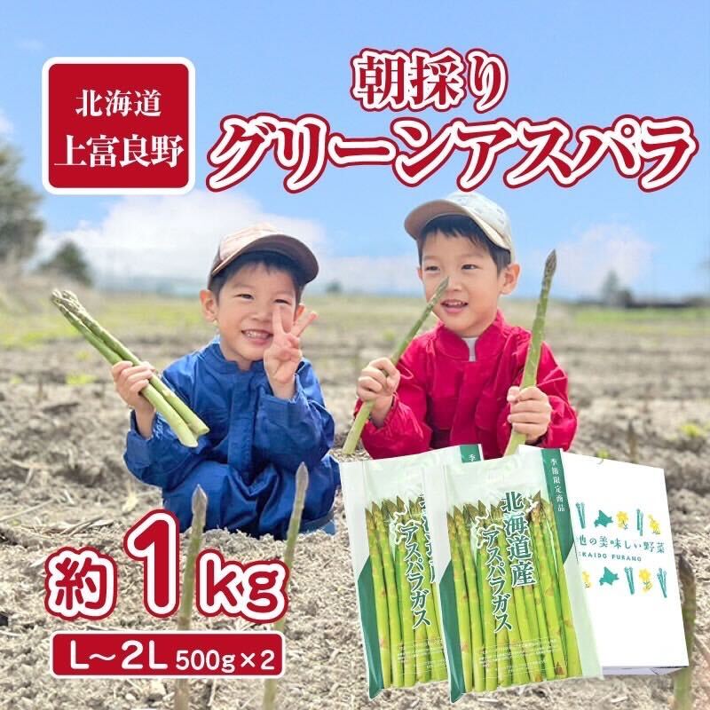 【ふるさと納税】【2024年分先行予約】アスパラ 専門農家の特選グリーンアスパラ 1kg（L～2L）アスパ...