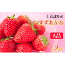 25位! 口コミ数「1件」評価「1」かみふらの産いちご【すずあかね】A品　300g×4セット　【果物類・いちご・苺・イチゴ】　お届け：2024年7月上旬～10月下旬まで