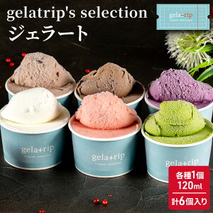 【ふるさと納税】gelatrip's selection ジェラート6個BOX　【お菓子・ジェラート...