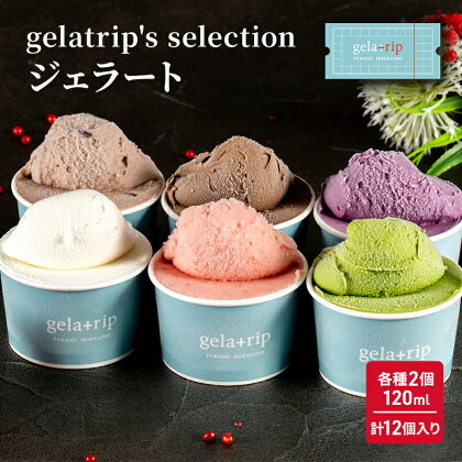 gelatrip's selection ジェラート12個 BOX 北海道 上富良野町 アイス アイスクリーム ジェラート デザート ギフト 贈呈 贈り物 ミルク 生乳 牛乳　【お菓子・ジェラート・スイーツ・アイス・冷凍】