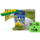 【ふるさと納税】地元上富良野産 とうもろこし おおもの 15本セット 【野菜 とうもろこし おおもの トウモロコシ コーン】 お届け：2024年7月25日～8月20日