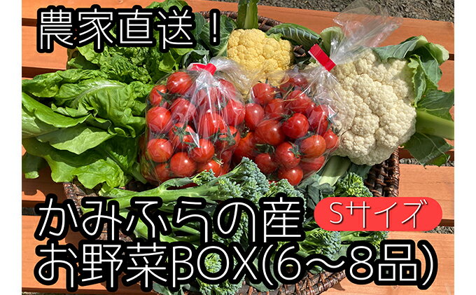 【ふるさと納税】【2024年8月上旬頃から発送】農家直送！ミニトマト500g入り！朝採れ野菜詰め合わせボックスS（6～8品入り）　【野菜・セット・詰合せ・ミニトマト・JGAP認証農場・野菜ソムリエ・特別栽培農作物・旬の野菜】　お届け：2024年8月1日～2024年9月15日