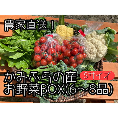 名称野菜詰め合わせ内容量ミニトマト500g＋旬のお野菜　5～7品産地北海道上富良野町事業者合同会社　たてお農園配送方法冷蔵配送お届け時期2024年8月1日～2024年9月15日備考※画像はイメージです。 ※こちらの商品は、沖縄県・離島へはお届け出来ません。 ※画像の野菜が必ず入るわけではありませんのでご了承ください。 ※お野菜は鮮度保持のため、到着後お早めに召し上がり下さい。 ※発送期日内において長期不在など受け取れない日がある場合は、必ず申込時にご入力、もしくは発送期日前までご連絡ください。 ※消費期限(目安)：発送から冷蔵7日程度 ※上記のエリアからの申し込みは返礼品の手配が出来ないため、「キャンセル」または「寄附のみ」とさせていただきます。予めご了承ください。 ・ふるさと納税よくある質問はこちら ・寄附申込みのキャンセル、返礼品の変更・返品はできません。あらかじめご了承ください。【ふるさと納税】【2024年8月上旬頃から発送】農家直送！ミニトマト500g入り！朝採れ野菜詰め合わせボックスS（6～8品入り）　【野菜・セット・詰合せ・ミニトマト・JGAP認証農場・野菜ソムリエ・特別栽培農作物・旬の野菜】　お届け：2024年8月1日～2024年9月15日 【配送不可：沖縄県・離島】 【2024年度発送分 先行予約受付中！】 発送日の早朝、お野菜を収穫し即日発送するお野菜ボックスです。 涼しい時間帯に収穫することで、お野菜の美味しさをさらに引き立てます。 当園の野菜ソムリエが育てて収穫した、新鮮で味の濃いお野菜をお届け致します。 お送りする野菜のご紹介 〇ミニトマト　 JGAP認証を取得している当園のミニトマトは酸味と甘みのバランスがよく、お子様もおやつがわりにパクパクと食べられると好評です！新鮮でツヤツヤな見た目と、パリッとした皮の弾ける食感もぜひお楽しみください♪ 〇旬のお野菜　5～7品 ズッキーニ、セロリ、ナス、キャベツ、キュウリ、レタス、スティックセニョール、スイートコーン、ピーマン、大根など… その時期に合わせた旬なお野菜を箱いっぱいにお送り致します！ ※野菜ソムリエがいる農園です。 『小さなお子様でも美味しくたくさんの野菜を食べてほしい』 『上富良野の大地で育った美味しい野菜をお届けしたい』 気持ちから、野菜ソムリエを取得致しました。野菜本来の美味しさを引き出した当農園のお野菜の中でも特にご好評のミニトマトとその日収穫した旬のお野菜をお届け致します。是非『ご笑味』下さい。 野菜ソムリエ　舘尾　万里子 ※安心・安全の証　JGAP認証農場です 栽培工程を徹底管理し、安心をお届けいたします。 また、当農園にはJGAP指導員もおりますので日々、お客様にお届けするお野菜に対する取り扱い工程を見直し日々成長をしています。 寄附金の用途について 「十勝岳」魅力再発見事業 ラベンダーのまちづくり事業 高齢者福祉推進事業 児童生徒の教育振興事業 自衛隊との共存共栄のまちづくり事業 寄附金の使途を指定しない 受領証明書及びワンストップ特例申請書のお届けについて 【受領証明書】入金確認後、注文内容確認画面の【注文者情報】に記載の住所にお送りいたします。 発送の時期は、寄附確認後2～3週間程度を目途に、お礼の特産品とは別にお送りいたします。【ワンストップ特例申請書】ワンストップ特例について ワンストップ特例をご利用される場合、1月10日までに申請書が当庁まで届くように発送ください。 マイナンバーに関する添付書類に漏れのないようご注意ください。 ダウンロードされる場合は以下よりお願いいたします。 URL：https://event.rakuten.co.jp/furusato/guide/onestop/