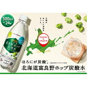 【ふるさと納税】北海道富良野ホップ炭酸水 グリーンシャワー ペット500ml 24本入り　【飲料類・炭酸飲料・サイダー】